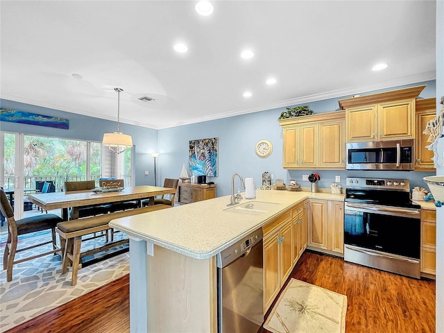 kitchen featuring pendant lighting, sink, stainless steel appliances, dark hardwood / wood-style flooring, and kitchen peninsula