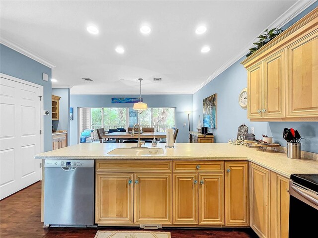 kitchen with stainless steel dishwasher, ornamental molding, dark hardwood / wood-style flooring, and sink