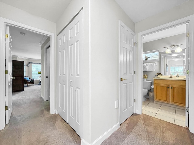 hall featuring light colored carpet and a wealth of natural light