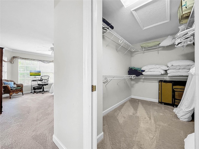 spacious closet featuring light colored carpet and ceiling fan