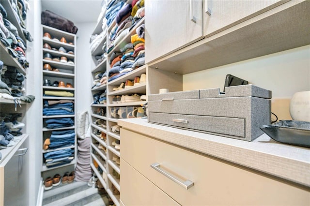 view of spacious closet