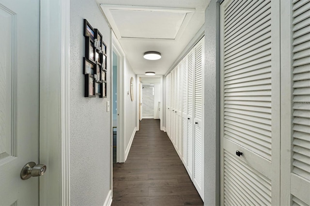 corridor with dark hardwood / wood-style floors