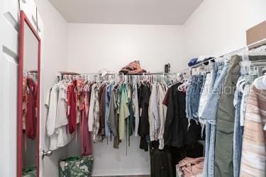 view of walk in closet