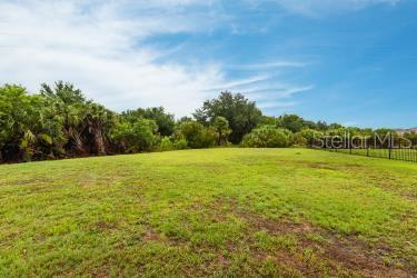 view of yard featuring a rural view
