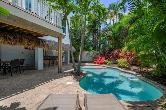 view of swimming pool with a patio area and an outdoor bar