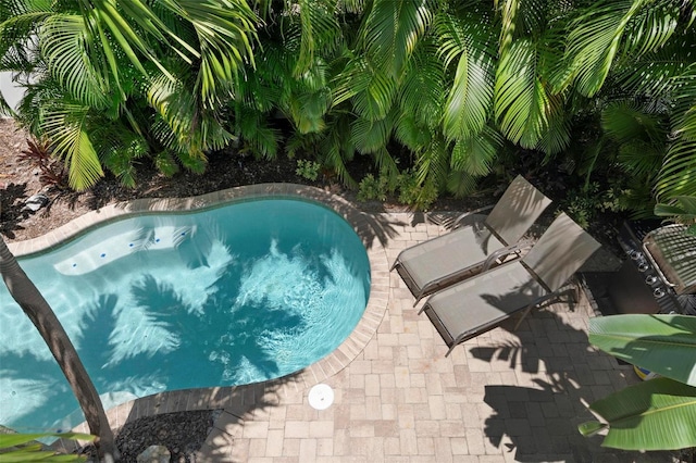 view of swimming pool with a jacuzzi and a patio area