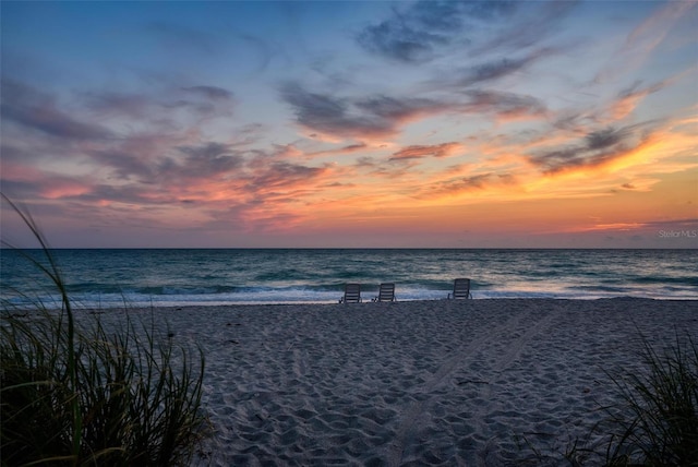 water view featuring a beach view