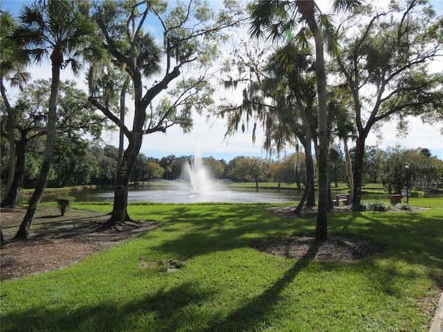 view of home's community with a yard and a water view