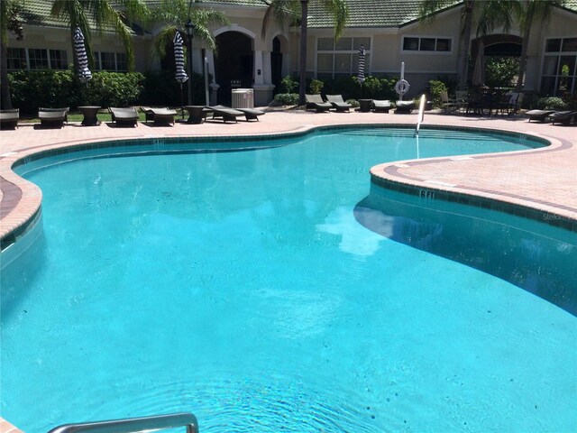 view of pool featuring a patio