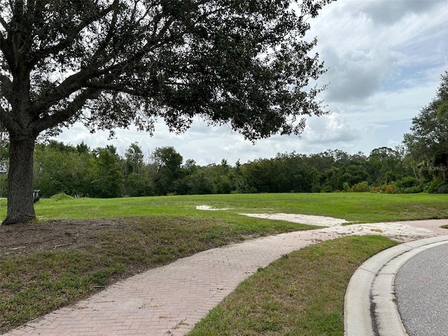 8281 Archers Ct, Sarasota, FL 34240 - photo 3