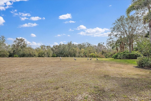 8281 Archers Ct, Sarasota, FL 34240 - photo 5