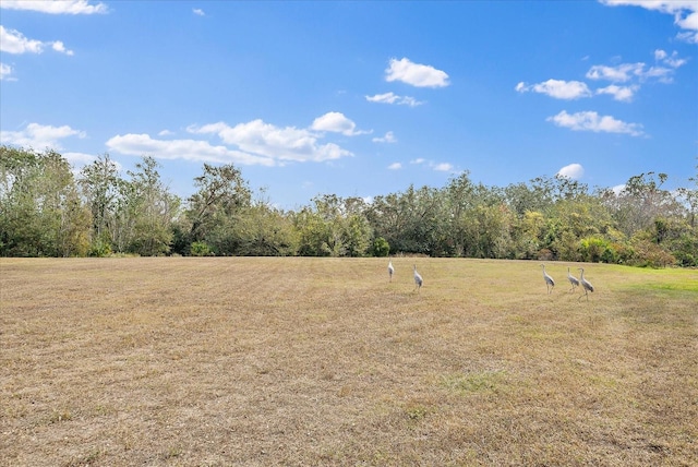 8281 Archers Ct, Sarasota, FL 34240 - photo 6