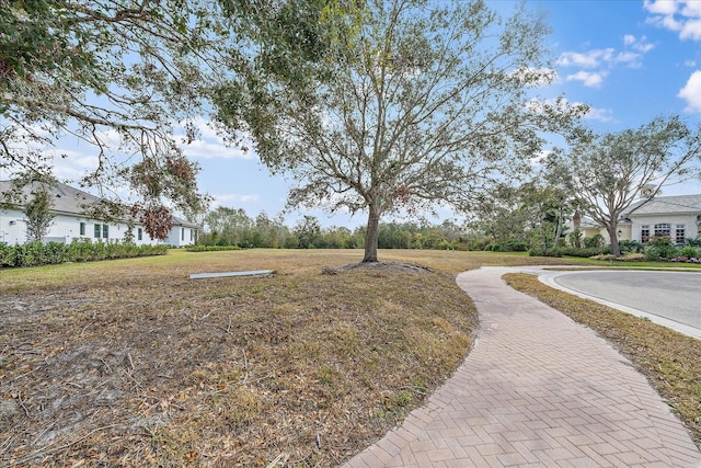8281 Archers Ct, Sarasota, FL 34240 - photo 8