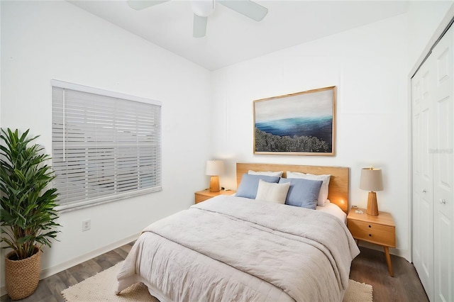 bedroom with dark hardwood / wood-style flooring, ceiling fan, and a closet