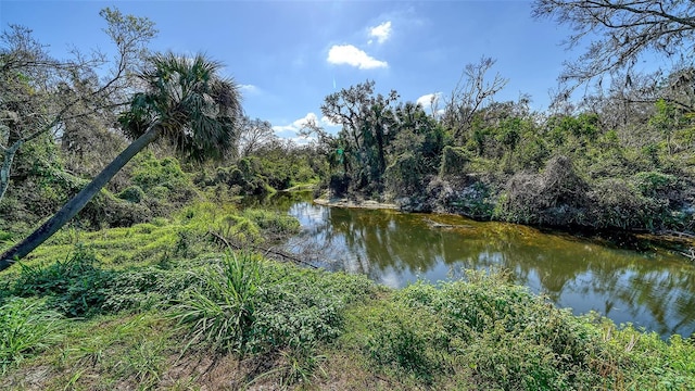 view of water feature