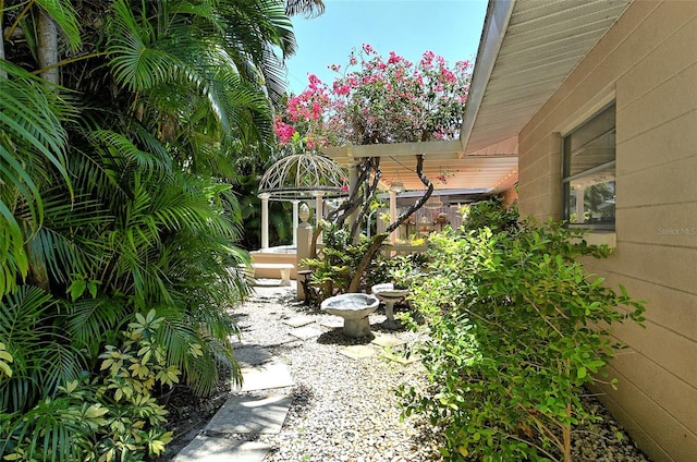 view of yard featuring a patio