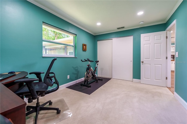 interior space with light colored carpet and crown molding