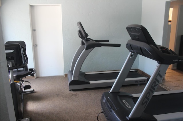 exercise room featuring carpet