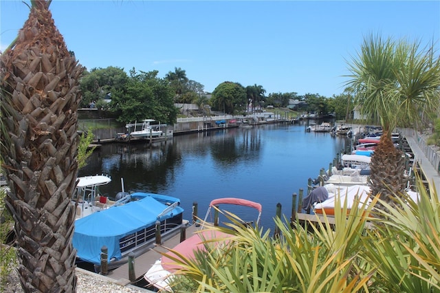 dock area with a water view