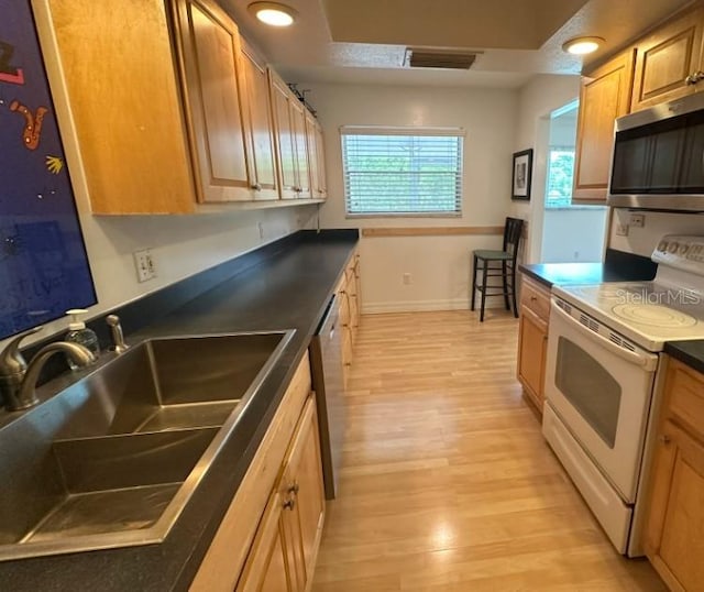 kitchen with sink, light hardwood / wood-style flooring, and appliances with stainless steel finishes