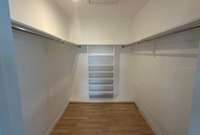 spacious closet with wood-type flooring