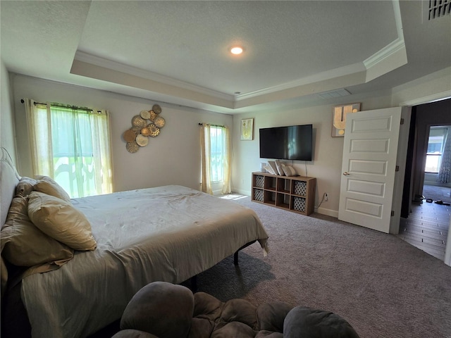 bedroom featuring multiple windows and a tray ceiling