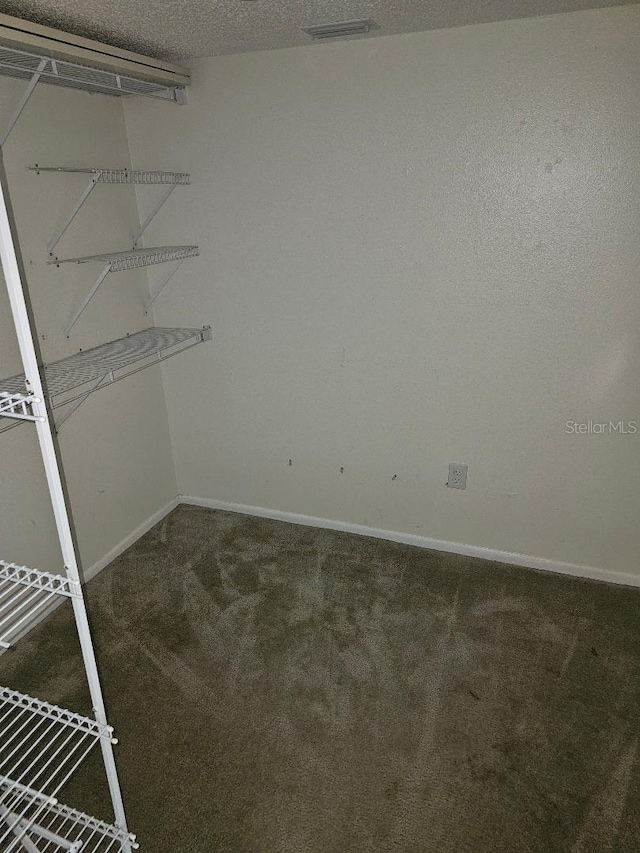 spacious closet featuring carpet