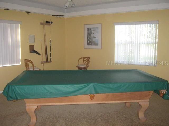 rec room with carpet flooring and billiards