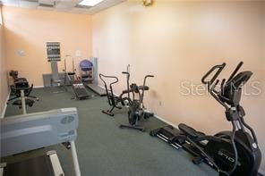 workout room featuring carpet flooring