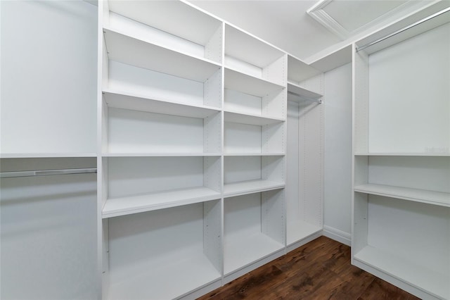 walk in closet featuring dark hardwood / wood-style flooring