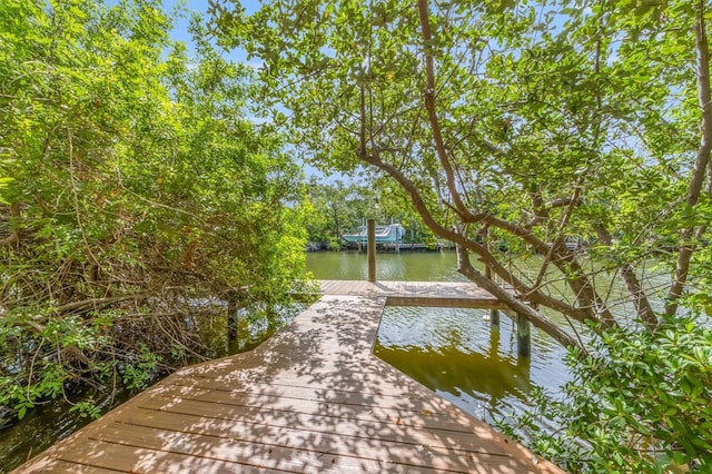 dock area with a water view