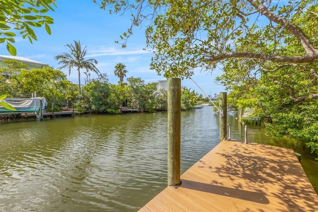 dock area featuring a water view