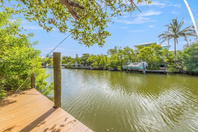 dock area featuring a water view