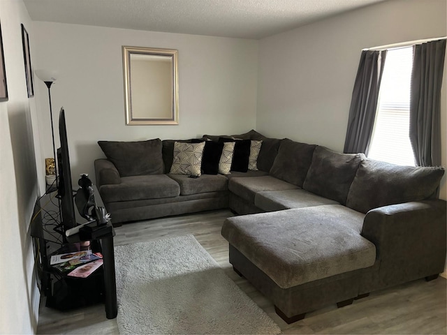 living room with a textured ceiling and light wood finished floors