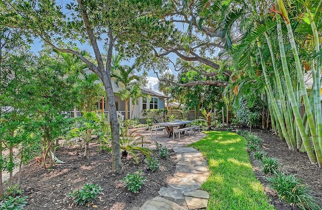 view of yard with a patio