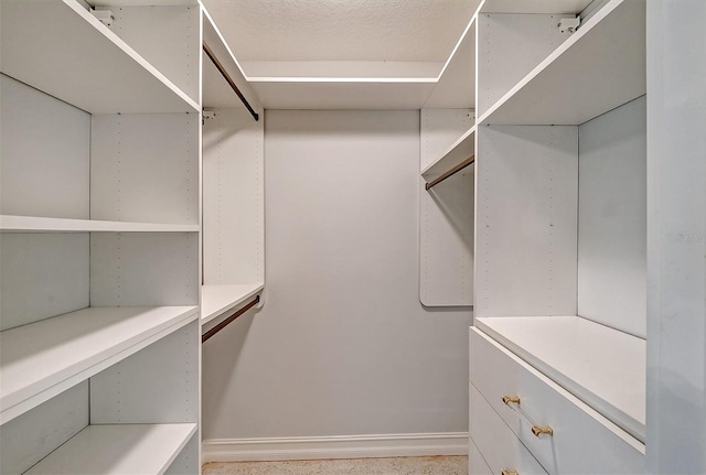 view of spacious closet