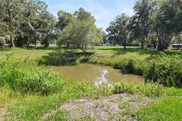 view of community with a water view