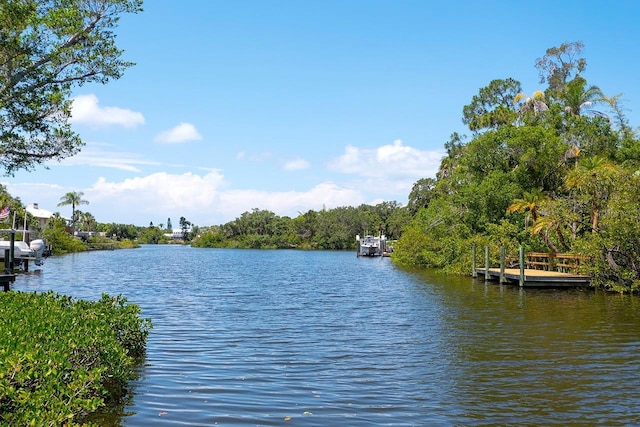 property view of water with a dock