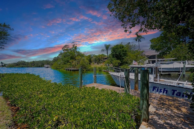 dock area featuring a water view