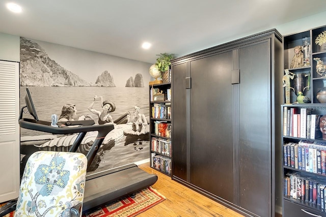 interior space featuring light hardwood / wood-style flooring