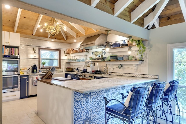 kitchen featuring ventilation hood, decorative light fixtures, plenty of natural light, and appliances with stainless steel finishes