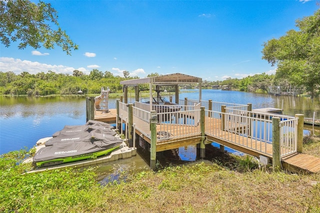 dock area with a water view