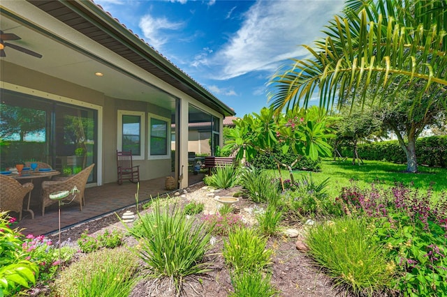 view of yard with a patio