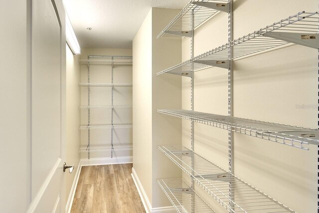 walk in closet with light hardwood / wood-style floors