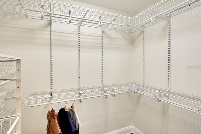 view of walk in closet