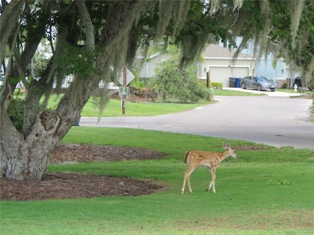 surrounding community with a lawn, driveway, and a garage