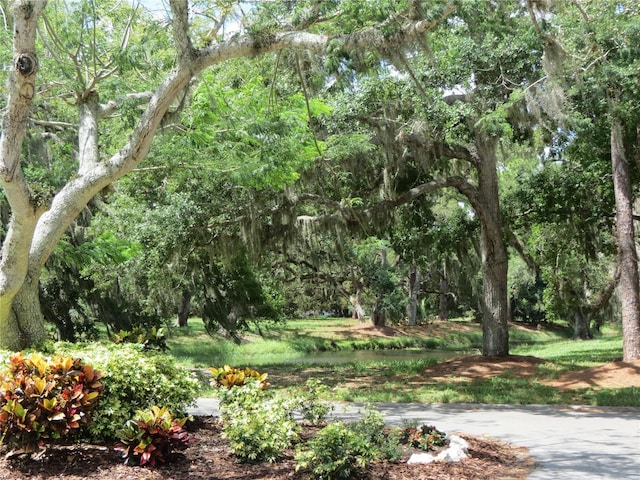 view of landscape featuring a view of trees and a water view