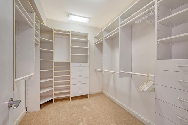 spacious closet with carpet floors