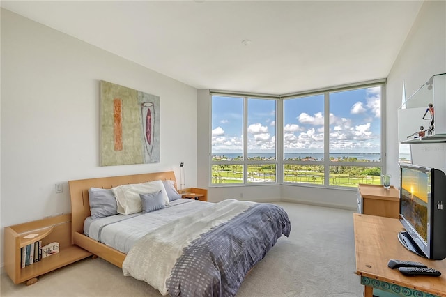 bedroom with light carpet