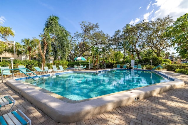 view of pool with a patio